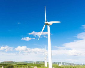 風力發電的環保悖論 清潔能源為何可能加劇全球變暖？